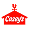 CASY-logo