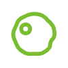 ENLV-logo